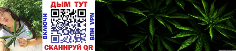 Бошки Шишки OG Kush  Купить где  Ликино-Дулёво 
